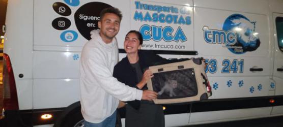 GPAR :: Grupo de Protección Animal de Rute