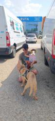 GPAR :: Grupo de Protección Animal de Rute