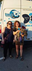 GPAR :: Grupo de Protección Animal de Rute