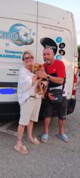 GPAR :: Grupo de Protección Animal de Rute
