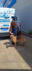 GPAR :: Grupo de Protección Animal de Rute