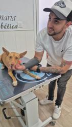 GPAR :: Grupo de Protección Animal de Rute