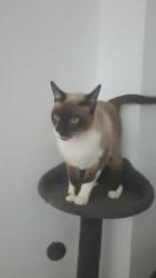 GPAR :: Grupo de Protección Animal de Rute