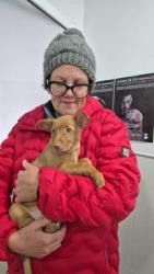 GPAR :: Grupo de Protección Animal de Rute