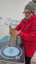 GPAR :: Grupo de Protección Animal de Rute