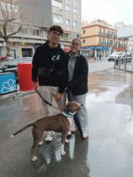 GPAR :: Grupo de Protección Animal de Rute