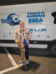 GPAR :: Grupo de Protección Animal de Rute