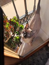 GPAR :: Grupo de Protección Animal de Rute