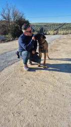 GPAR :: Grupo de Protección Animal de Rute