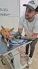 GPAR :: Grupo de Protección Animal de Rute