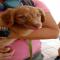 GPAR :: Grupo de Protección Animal de Rute