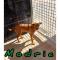 GPAR :: Grupo de Protección Animal de Rute