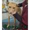 GPAR :: Grupo de Protección Animal de Rute